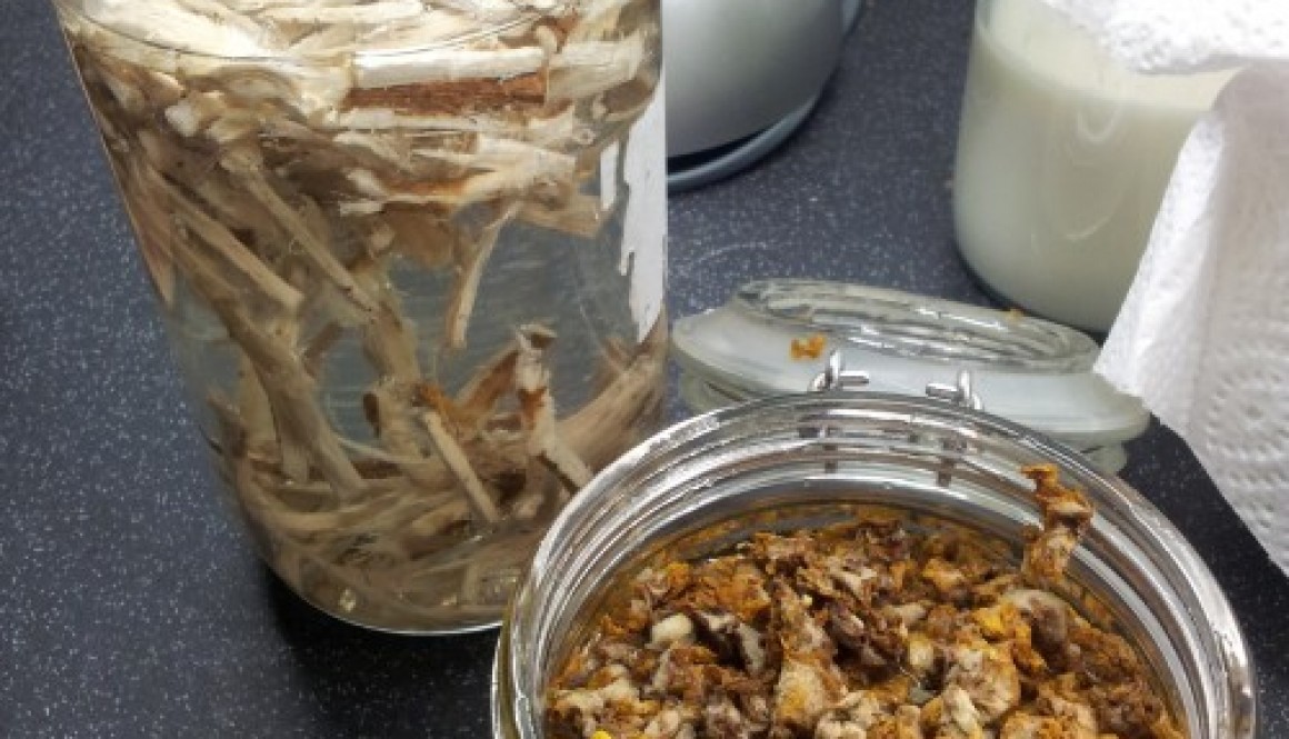 how to make marshmallow and mullein flower syrup Andrea Hughes