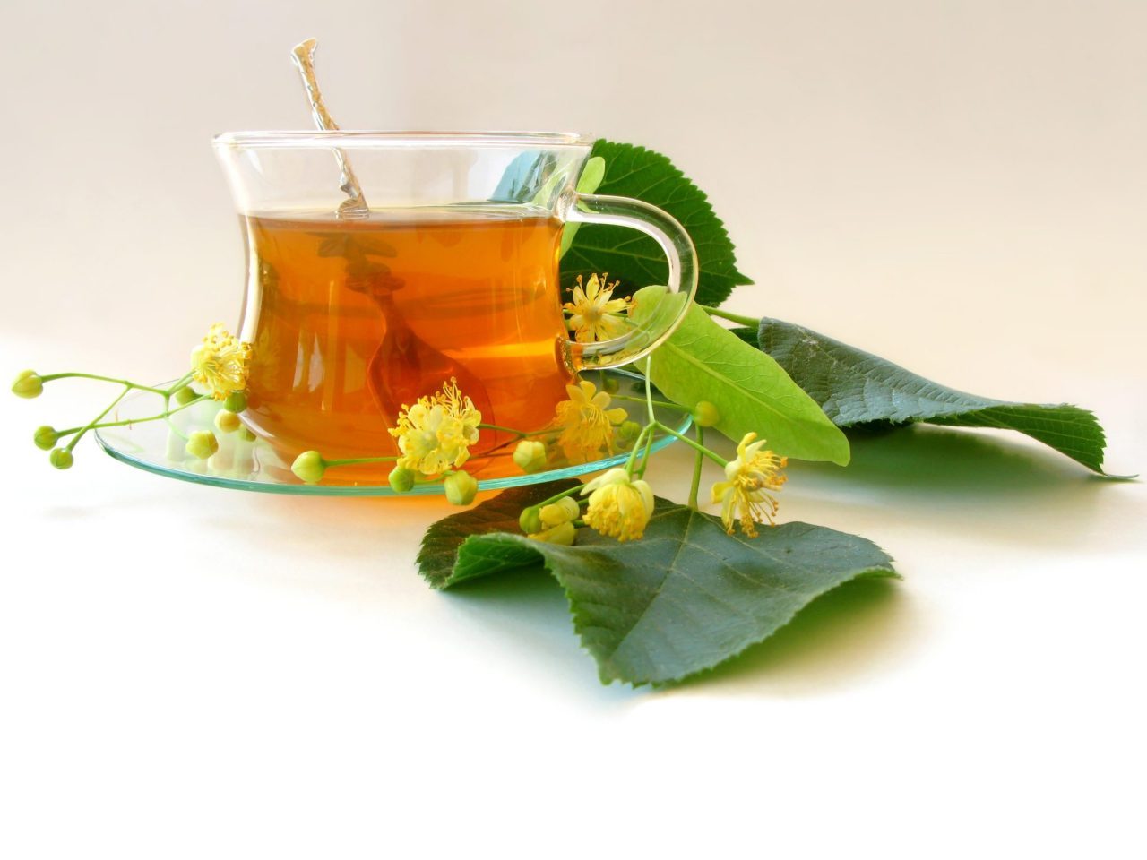 lime-flower-tea
