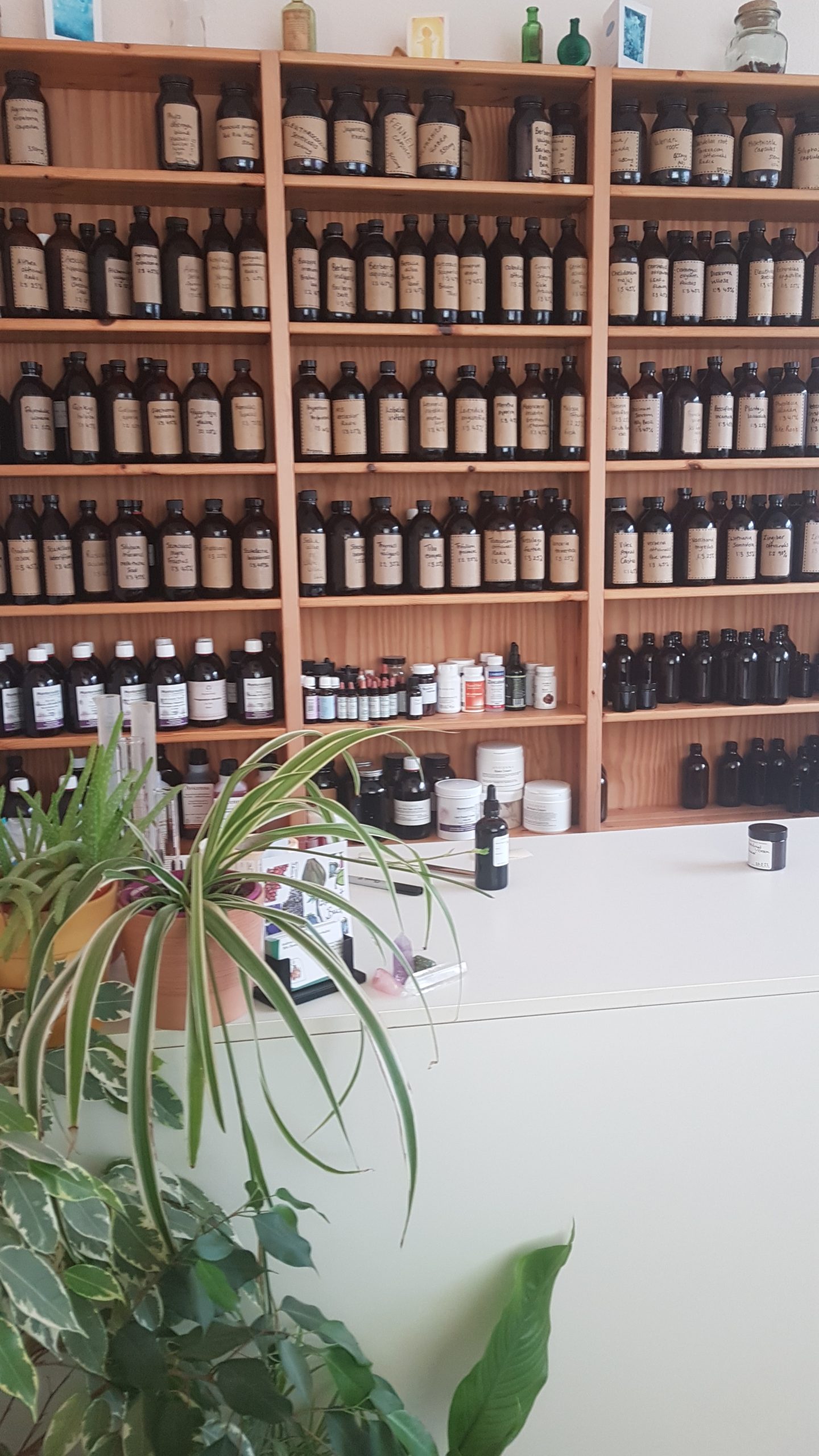 My Dispensary in 2022